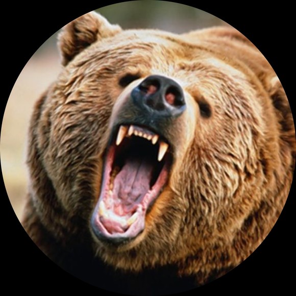 theangrybears